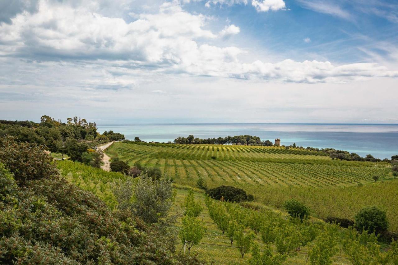 Masseria Agriturismo Torre Di Albidona Trebisacce Exterior foto